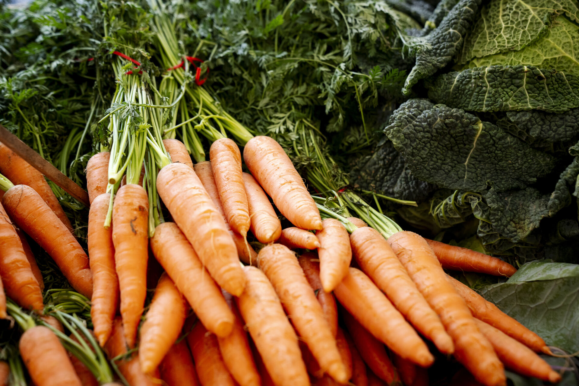 Kristeligt Dagblad mener: Danmark står i en frugt- og grøntkrise. Det kræver handling