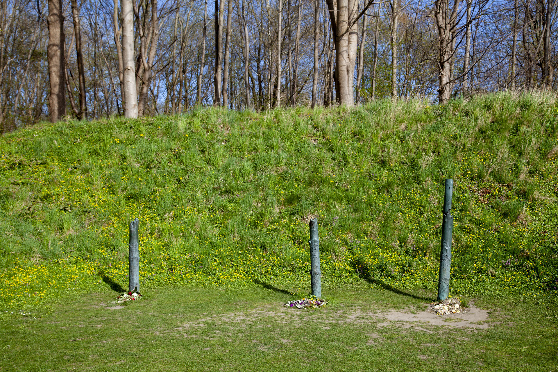 En overbevisende roman. Men det ville klæde den med færre sidehistorier