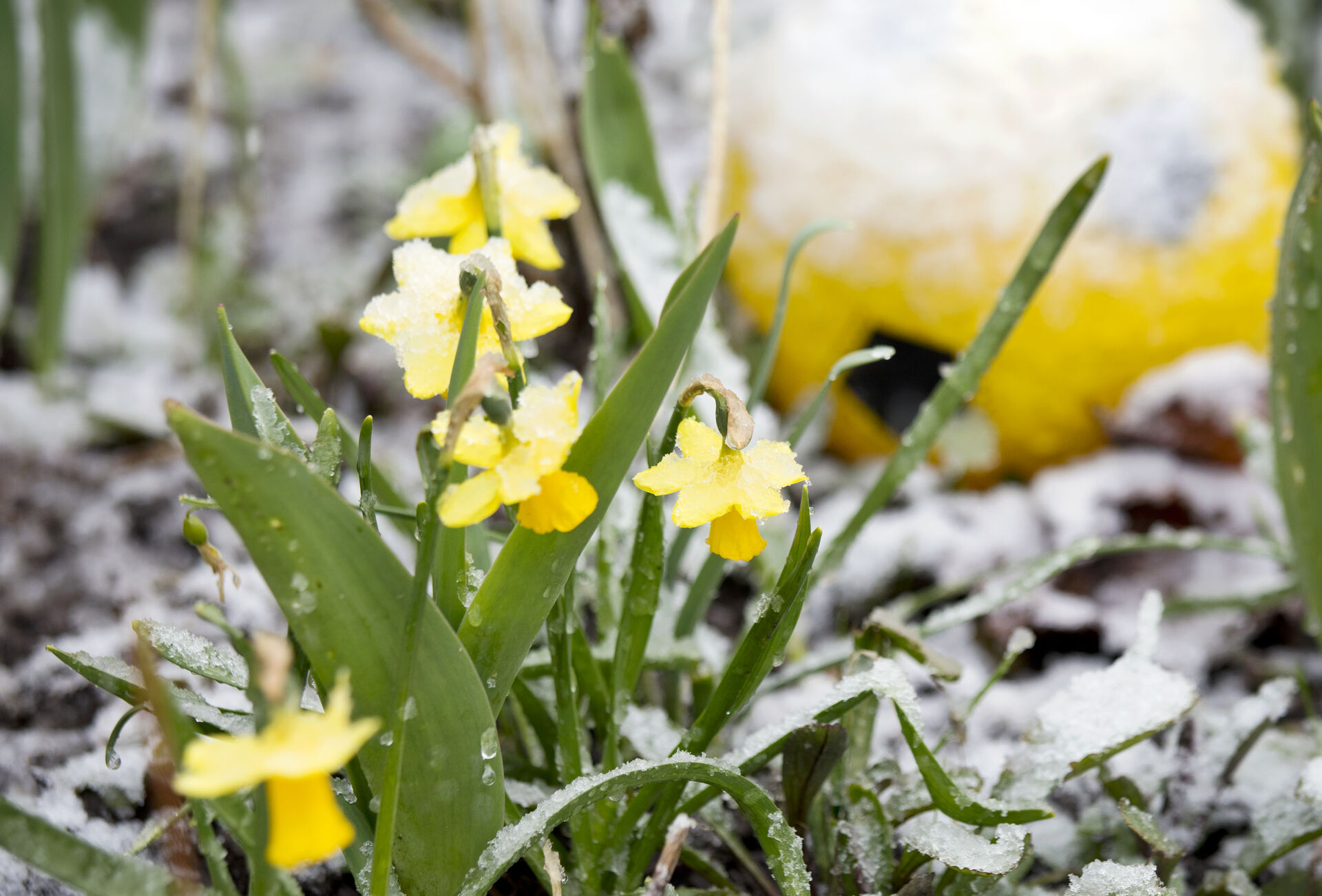 Hvad er forsoning? En balance mellem tilgivelse og retfærdighed