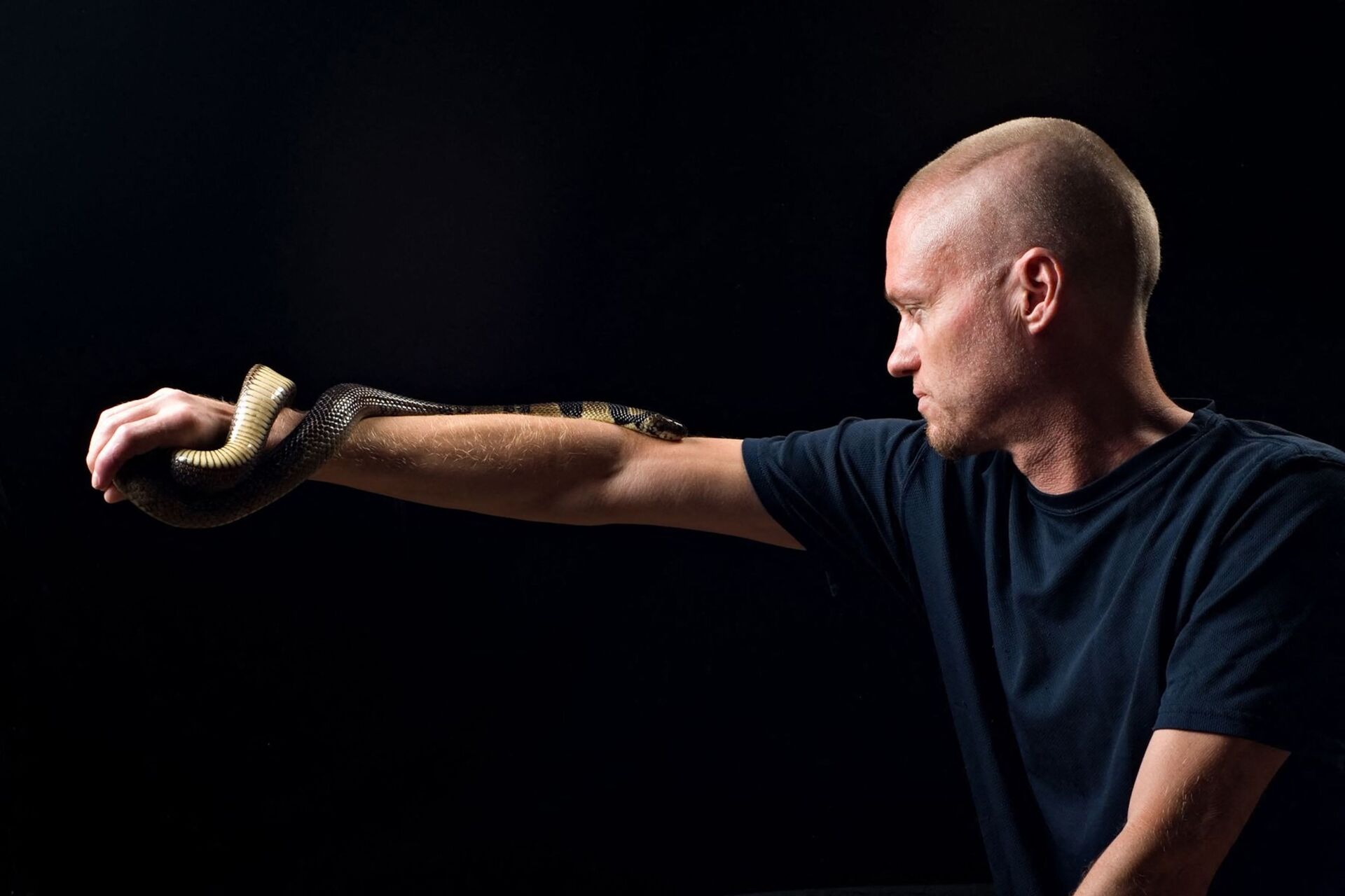 Mand lader sig bide af slanger i håb om at udvikle modgift – med livet som indsats