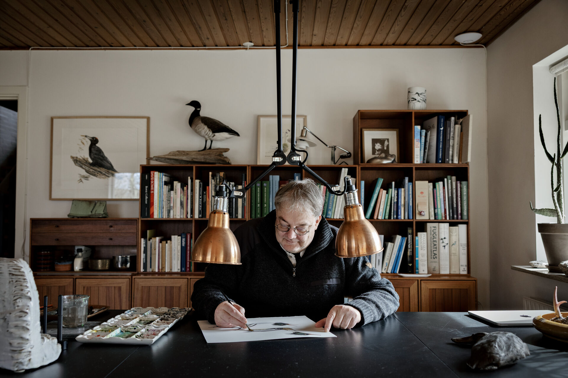 I et halvt århundrede har Jens Overgaard Christensen fulgt det danske fugleliv tæt. Nu samler han sit arbejde i ny bog