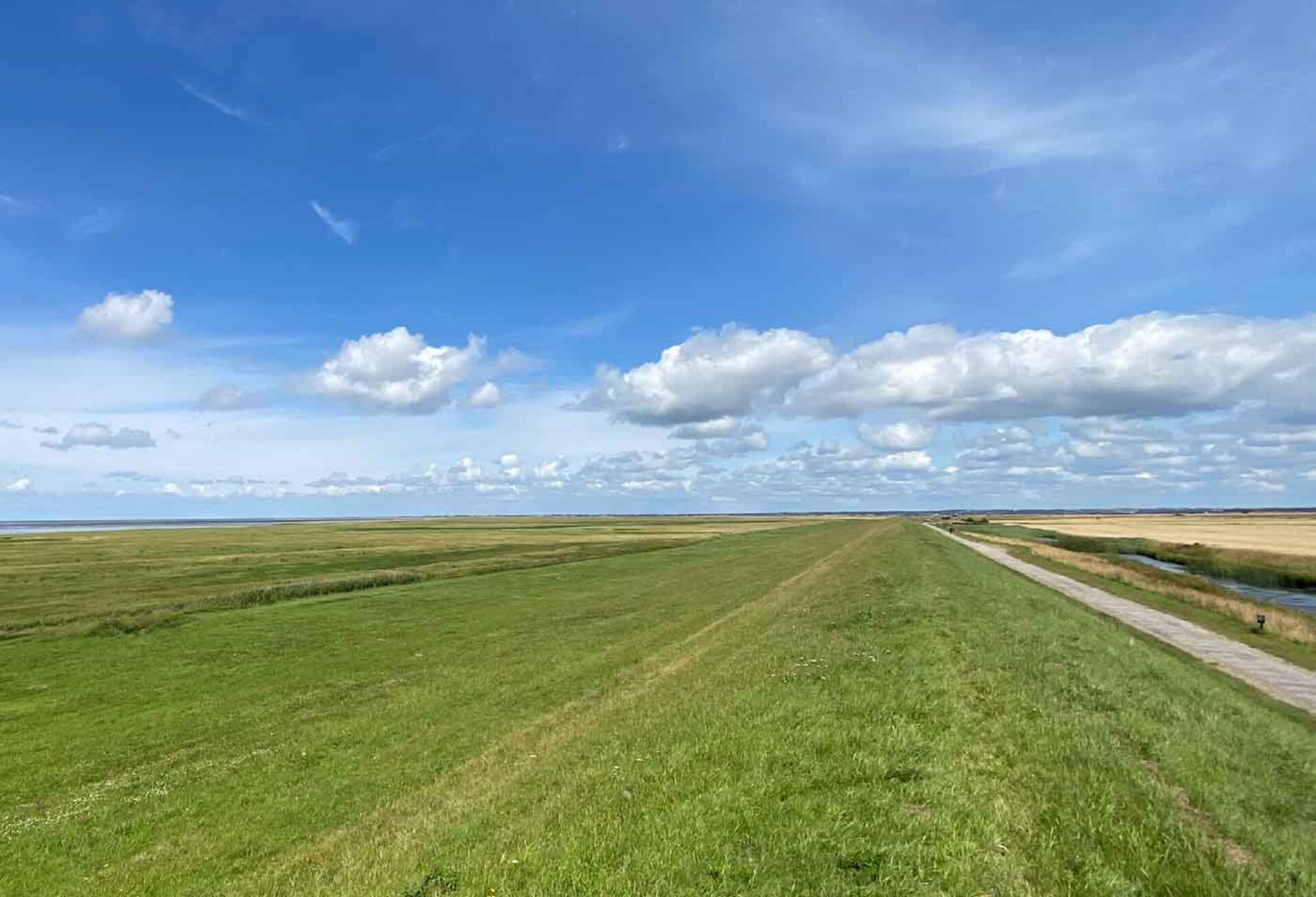 Eksistens og debat om identitet og store forfatterskaber