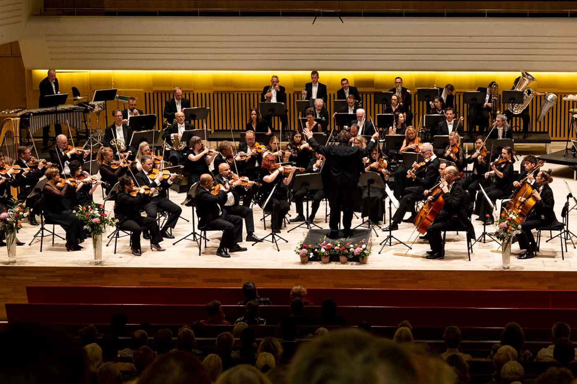 Lys og musik over november