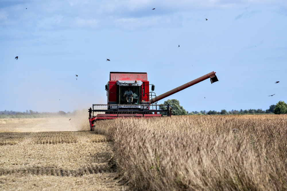 Danmark ligger ikke længere øverst på international økologiliste