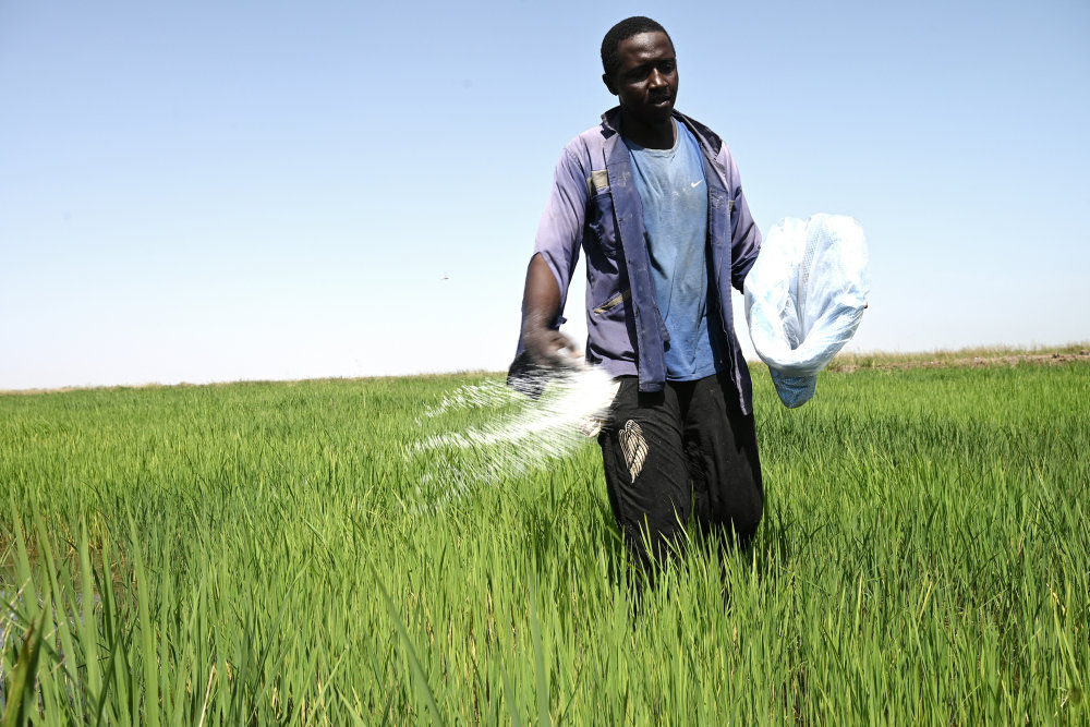 Lukningen af Hormuzstrædet kan koste dyrt i verdens fødevareproduktion