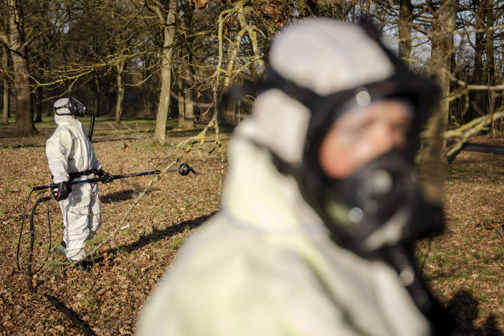 Fælder og tilsyn skal forhindre frygtet larve i at indtage hovedstaden