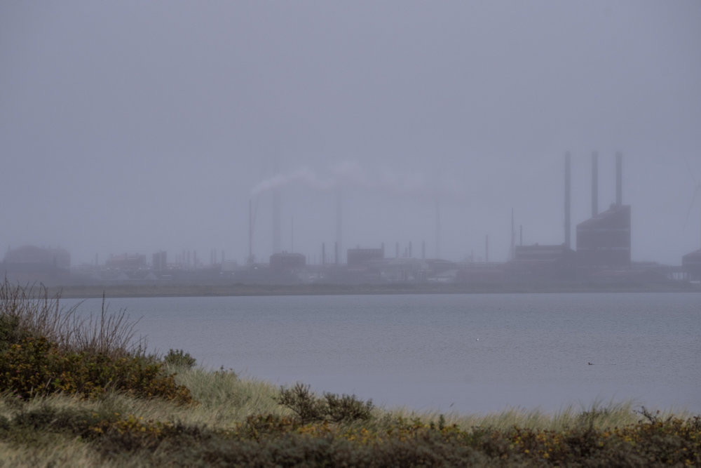 Første del af oprensning af Cheminova-grund går i gang til efteråret