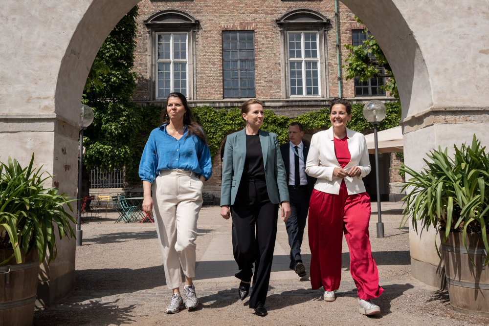 Alternativet fik 1,75 millioner af S ved at være i valgforbund