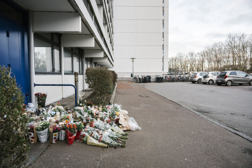 Analyse efter drab på toårig peger på ændringer i psykiatrien
