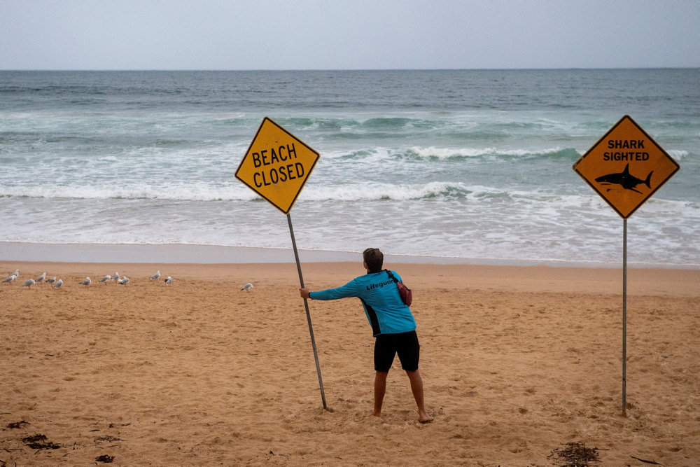 Mand kunne ikke genoplives efter hajangreb i Australien