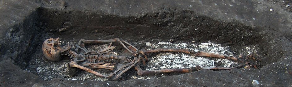 Arkæologer fra Horsens Museum har udgravet over 200 grave på den nedlagte klosterkirkegård. Det er 1700-tallets velhavere, der ligger begravet her. Dette er knoglerne af en 35-45-årig mand. --