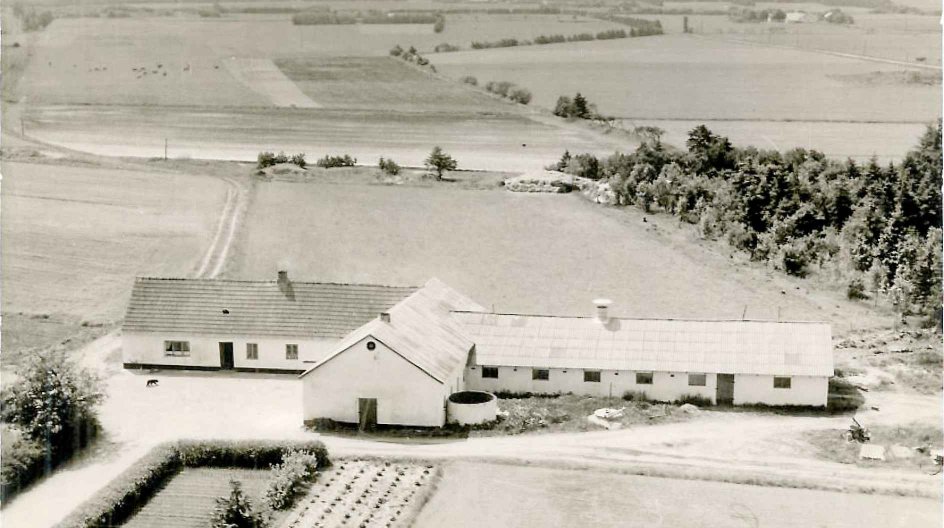 I 1946 købte Ernst og Rigmor Dam huset ”Vennemindelyst”, og de medfølgende staldbygninger. I 1988 brændte stuehuset, hvorefter parret byggede et nyt hus samme sted. De nåede dog kun at bo der kort, da Ernst Dam døde i 1992. Kort efter flyttede Rigmor Dam til Sønder Felding. Privatfoto.