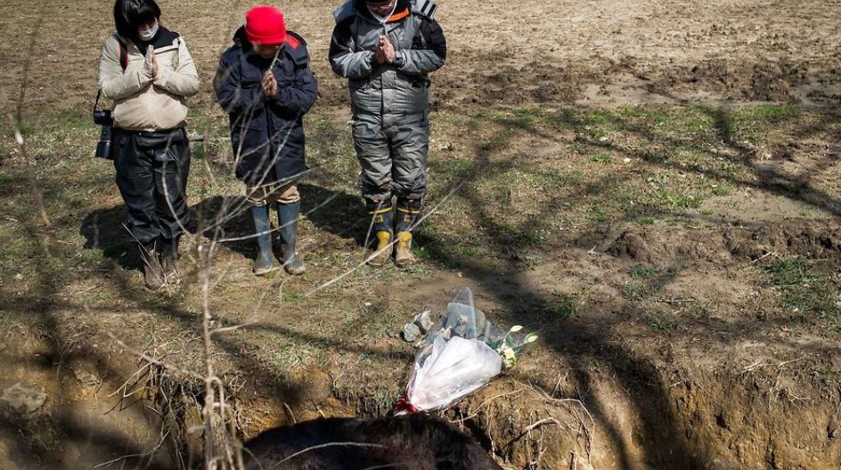 Members of Yoshisawa's farm (now called Farm of Hope) pray for 4th anniversary of the tsunami and nuke power plant Fukushima Dai-Ichi meltdown. But Also the cow killed by Tepco fault. Fukushima. Namie, JAPAN 11/03/2015/DATICHE_103810/Credit:DATICHE NICOLAS/SIPA/1503111050