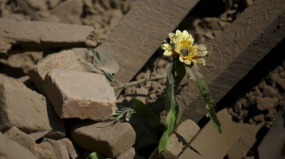 A flower is seen amidst the debris of a collapsed house following Saturday's earthquake in Bhaktapur, Nepal April 27, 2015. REUTERS/Navesh Chitrakar