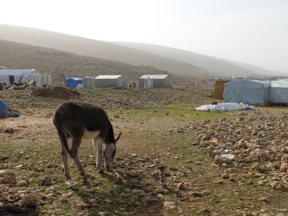 Da kurderne erobrede den ene side af Sinjarbjerget og gjorde det muligt for yazidierne at flygte længere væk, valgte over 10.000 alligevel at blive på bjerget.