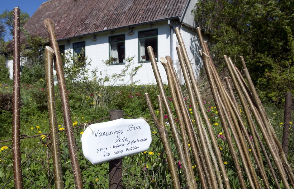 Vandrestavene sat frem på den lille ø Nyord. Øen er en del af den nye vandrerute Camønoen, som officielt indvies midt i juni. Camønoen sig over 175 kilometer på Bogø, Nyord og Møn. 