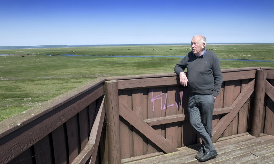 Nyord Enge er omkring 400 hektar stor. Engen er et af de mest fuglerige strandengområder i Østdanmark. Fra fugletårnet kan man se gæs, ænder, vadefugle og mange svaler.
