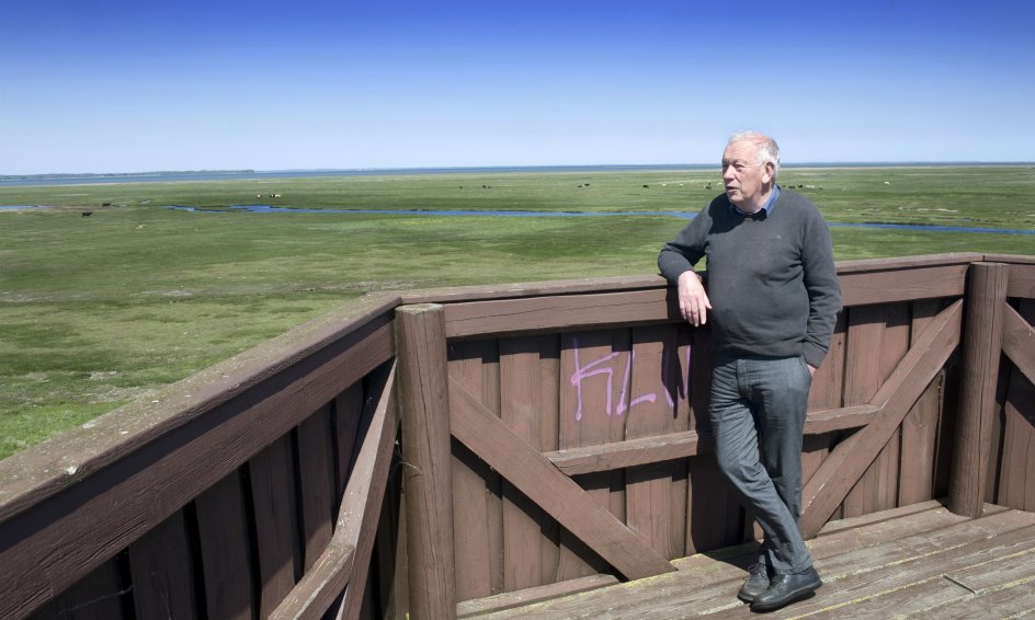 Nyord Enge er omkring 400 hektar stor. Engen er et af de mest fuglerige strandengområder i Østdanmark. Fra fugletårnet kan man se gæs, ænder, vadefugle og mange svaler. 