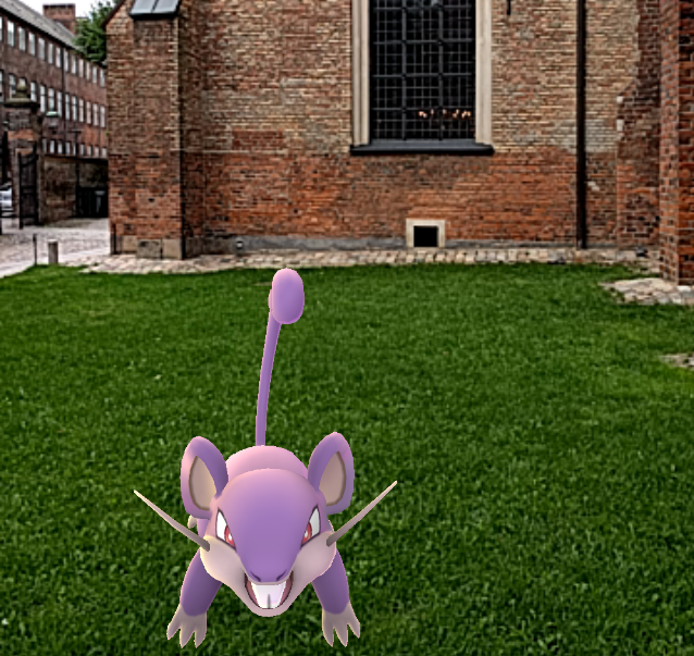 Pokémon-figuren Rattata står klar på plænen, da Simon Stålhandske retter sin telefon mod Sankt Petri Kirke.