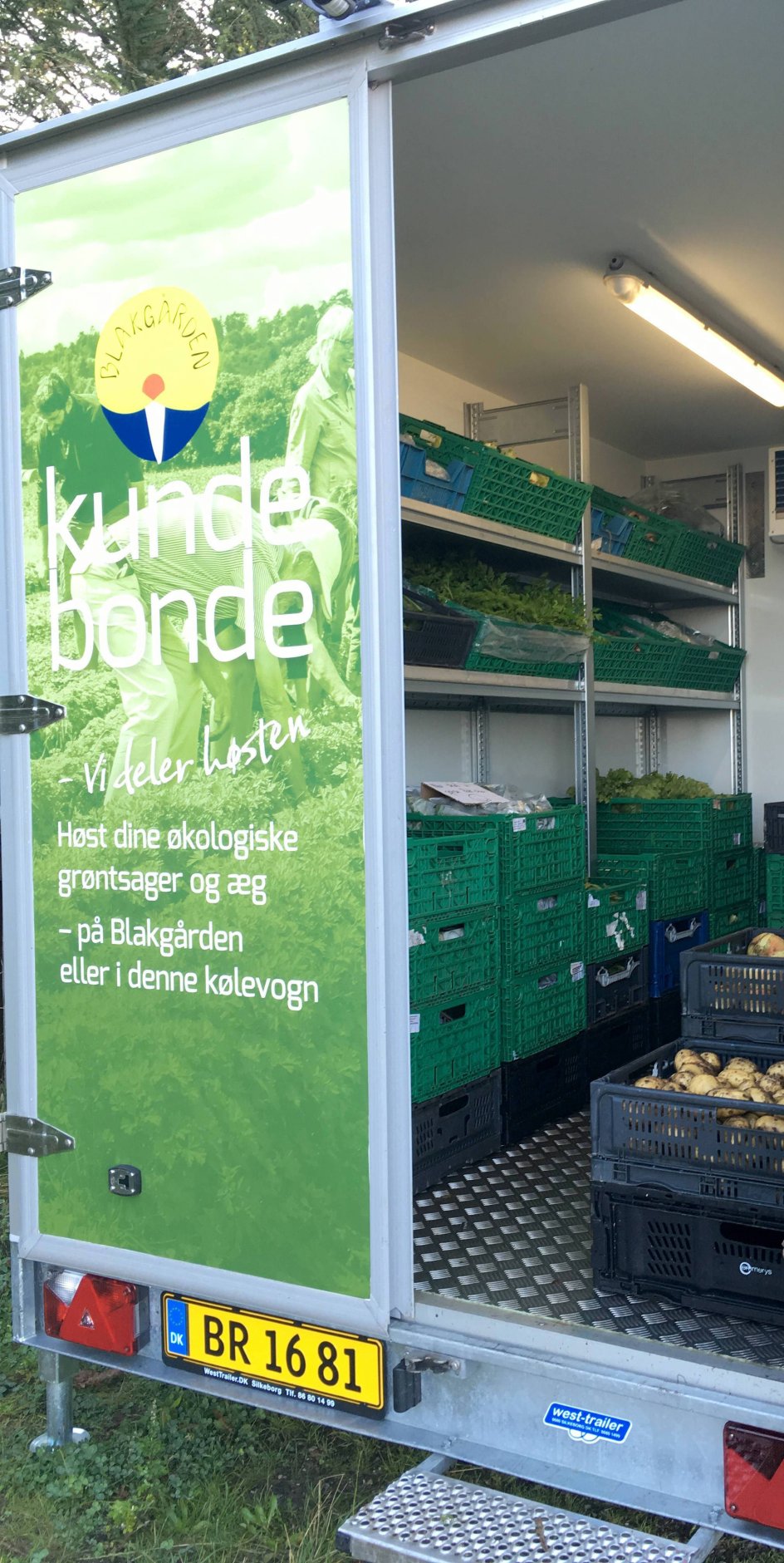 På en parkeringsplads i Silkeborg står Janus Sølvstens køletrailer, hvor medlemmerne i kundebondefællesskabet kan afhente friske grøntsager og æg hver mandag og torsdag. –