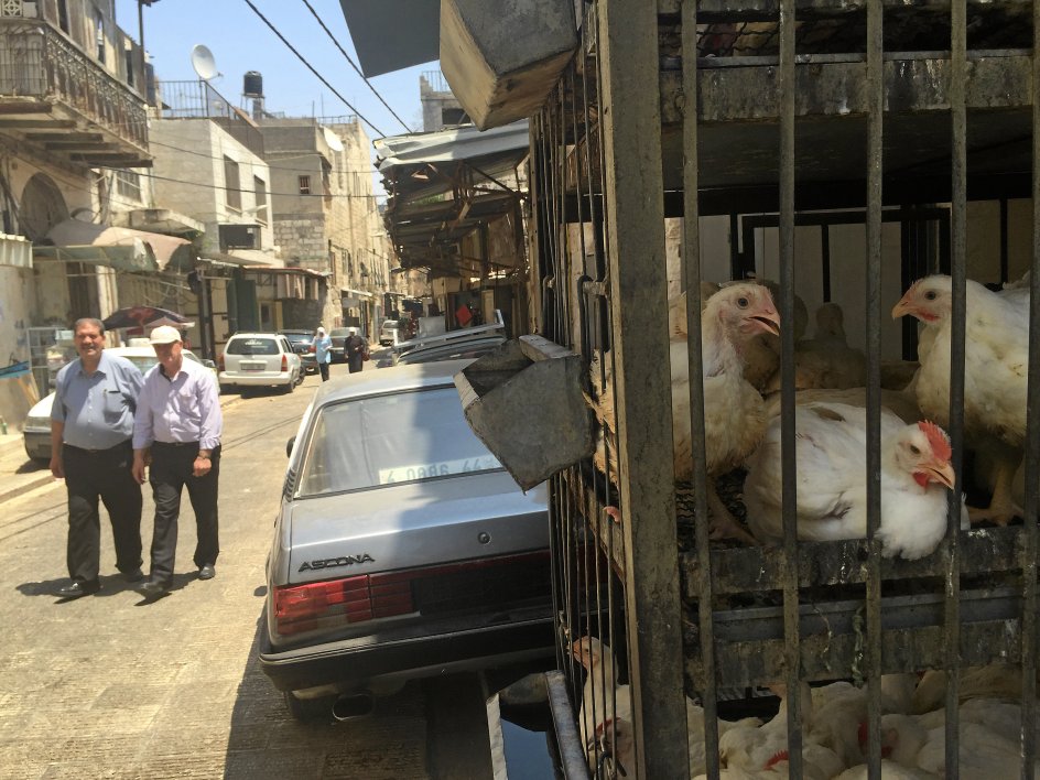 Halalslagteri i Nablus - klos op ad ”koncerthuset”. – 