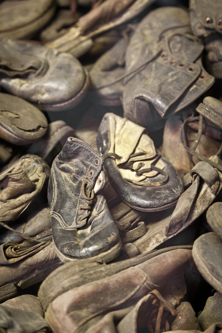 Sko indsamlet i Auschwitz. –
