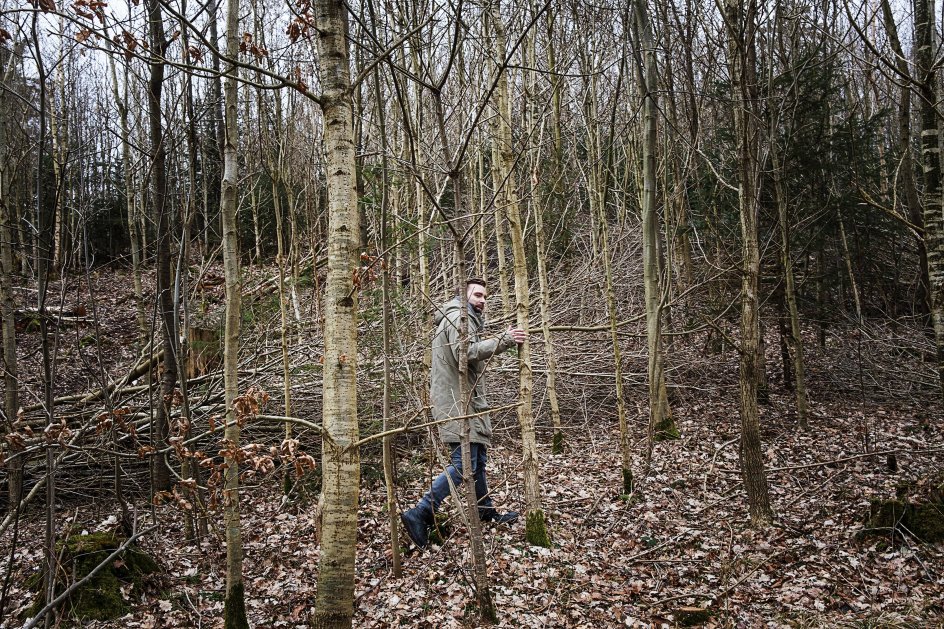 Thomas Horneman-Thielcke går uanset vejret og altid alene. Målet er et gammelt egetræ i et markskel.