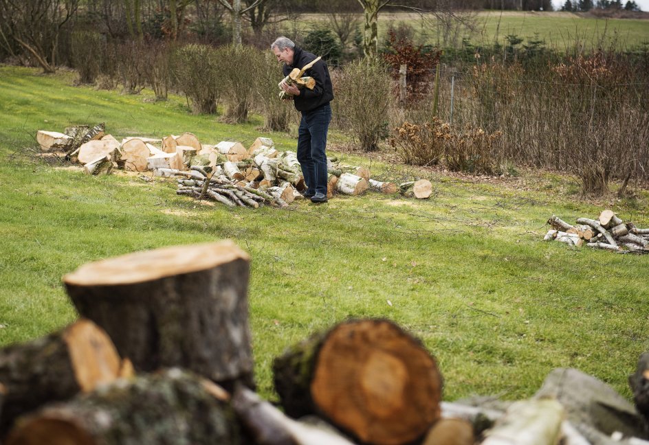 Huset skal males, og der skal fældes træer i haven og hugges træ til brændeovnen. 