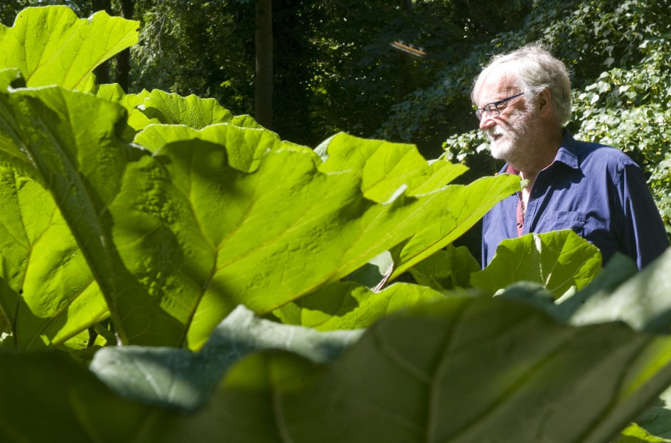 Haven i præstegårdshaven i Udby, hvor professor Erik A. Nielsen her står, fodrede tidligt Grundtvigs fantasi. –