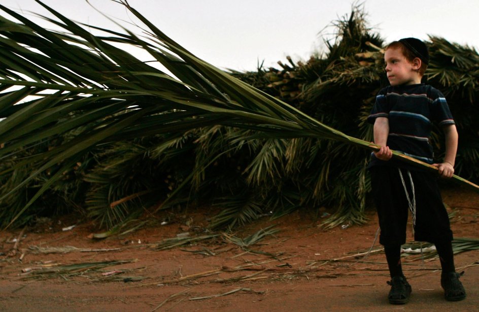 A Jewish boy caries a palm branch in the town of Bnei Brak near Tel Aviv Wednesday Oct. 4, 2006. The palm branches are used to roof a temporary house called a "Sukka, " which is built and lived in during the week-long Jewish holiday of Sukkot. Sukkot comemmorates the Israelites 40 years of wandering in the desert and a decorated hut or tabernacle is erected outside religious households as a sign of temporary shelter. The weeklong holiday begins on Friday. (AP Photo/Ariel Schalit)