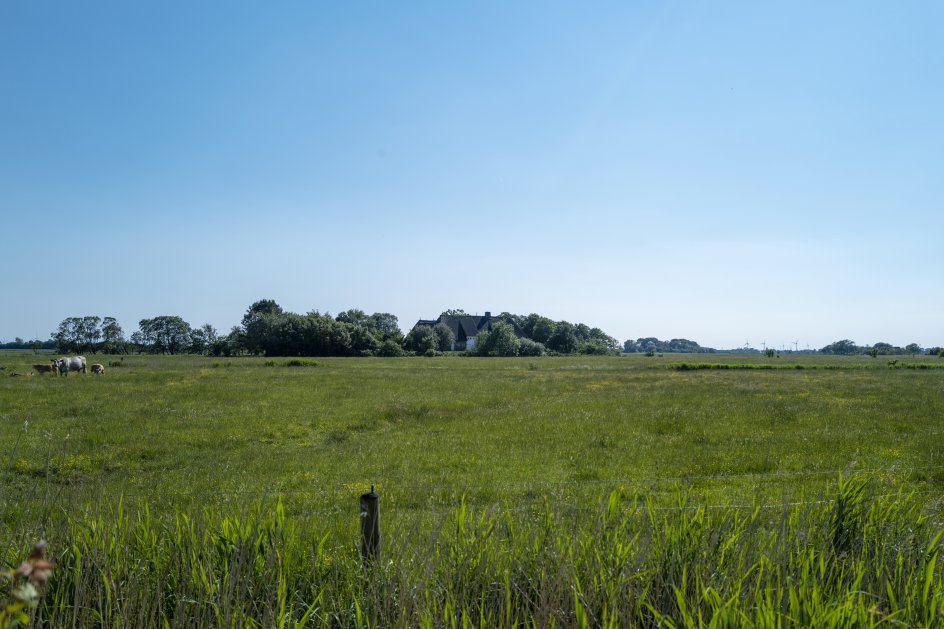 Landskabet omkring Seebüll, der ses her, fylder meget i Emil Noldes malerier. Men hans billeder af landskabet og de vestfrisiske gårde ved Seebüll er også sindbilleder, for han malede oftest billederne indenfor, i sit atelier. – 