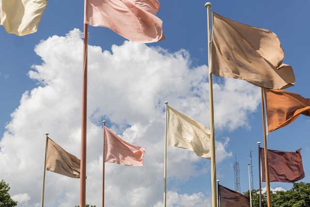 Hesselholdt og Mejlvangs ”Native, Exotic, Normal Circle of Flags”. – Foto: Lone Eriksen