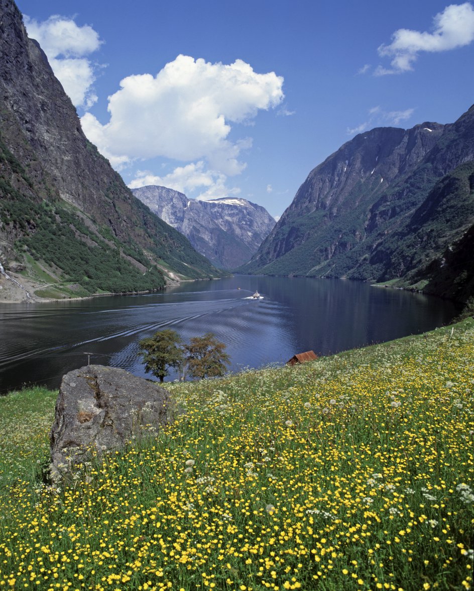 Fortid, nutid, natur og by opleves på rejsen, hvor deltagerne bliver klogere på Norges historie og hører om unionsdannelsen under dansk herredømme, olieeventyr, sociale og kulturelle forhold samt om Norges kirkehistorie. – Foto: Felix Rejser.