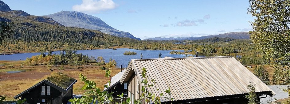 Denne vandretur går til fjeldterrænet ved Gaustatoppen og på Hardangervidda, hvor man finder de majestætiske fjelde, dybe dale, vandfald, et rigt dyre- og planteliv samt dyb ro og stilhed. Der vandres i to grupper, som tager hensyn til forskellige vandretyper. –