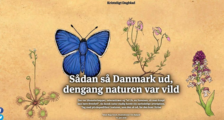 naturen
