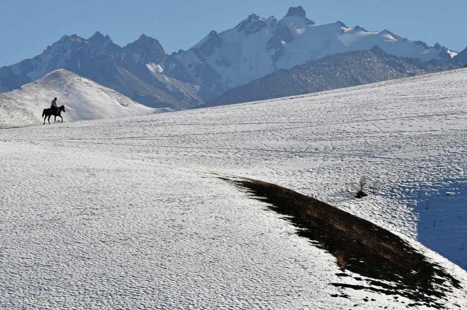 I det bjergrige land Kirgisistan, der ligger i Centralasien, er en rytter her fotograferet i færd med at bestige en bjergtop omkring 20 kilometer fra hovedstaden Bisjkek. – Foto: Vyacheslav Oseledko/AFP/Ritzau Scanpix.