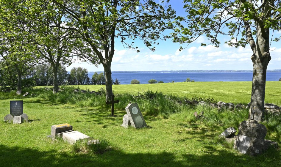 Rolsø ødekirkegård er vild og organisk, som et stykke natur der har fået lov at passe sig selv.