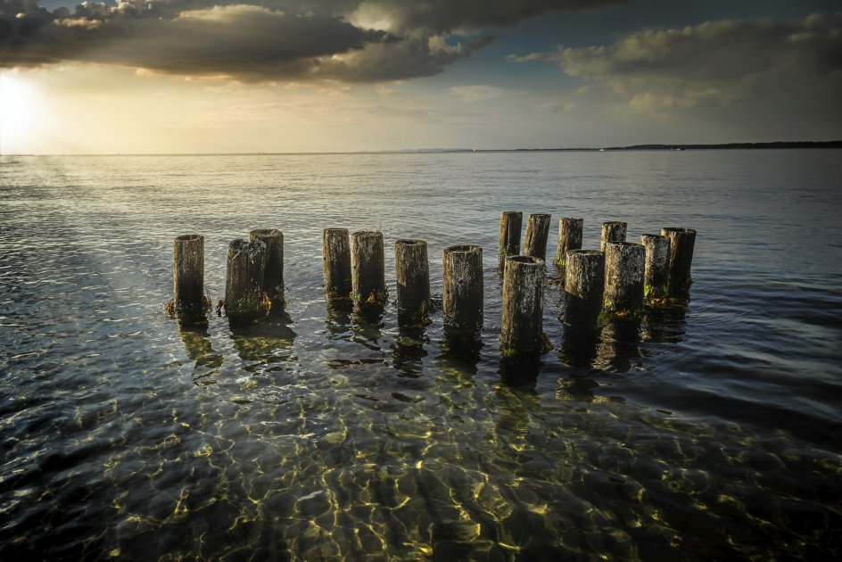 Billedet af bundgarnspæle i havet ved Helsingør fik en delt førsteplads med 20,7 procent af stemmerne. “Pludselig oplyses de mørke, truende skyer og havet af et magisk og kraftigt lys. En helt guddommelig oplevelse, som sad længe i mig.”