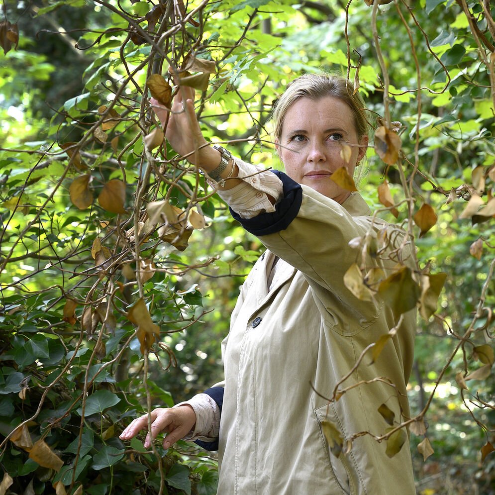 Hun drømte om en skov at fare vild i. Men endte med at fare vild i sig ...