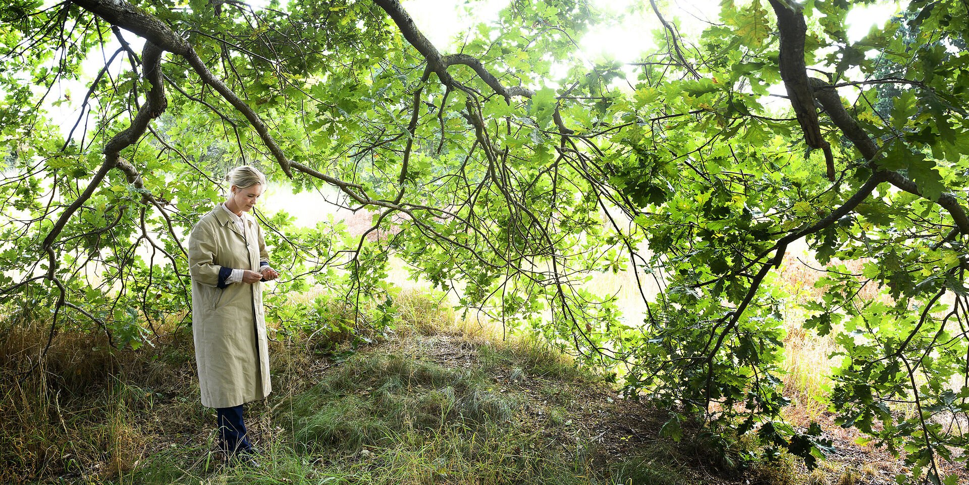 Hun drømte om en skov at fare vild i. Men endte med at fare vild i sig ...