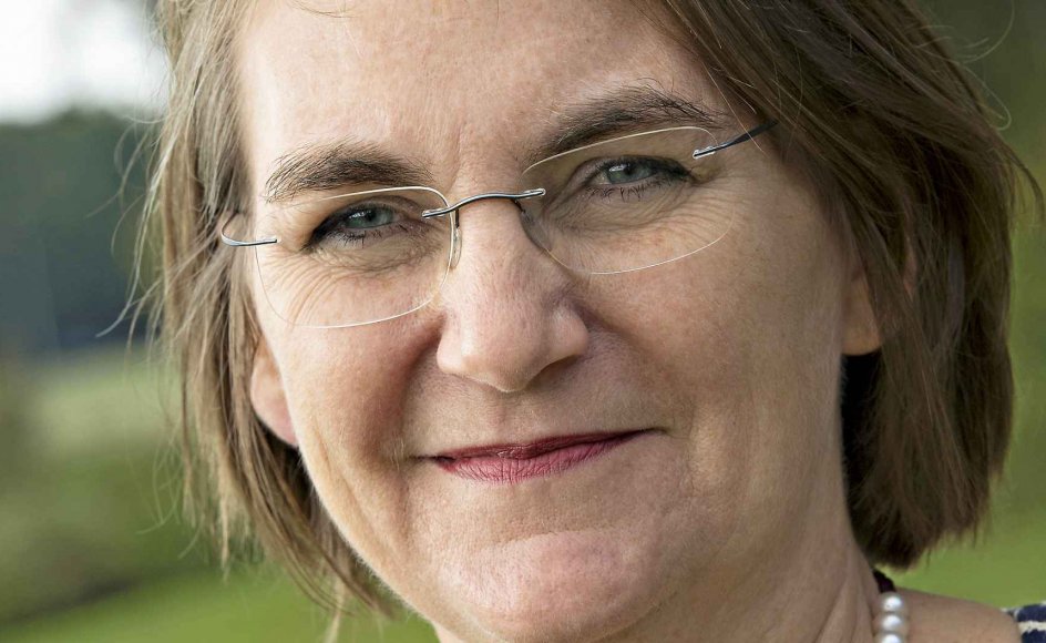 Plads til livet essay 07 image