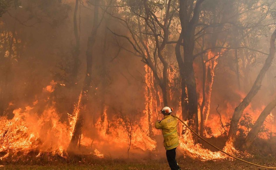Hvorfor Er Der Skovbrande I Australien