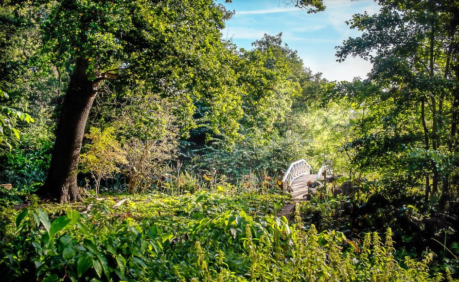 Karen Blixen Museum har udviklet ruten til ”Danske Digterruter” i Karen Blixens fuglereservat, der er placeret i landskabet omkring forfatterens barndomshjem, Rungstedlund i Nordsjælland.
