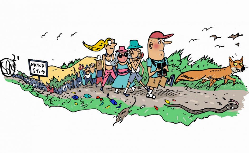 Illustration: Søren Mosdal