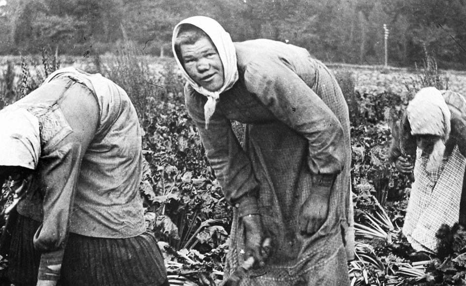 I første afsnit af DR2-serien "Indvandringens historie" møder vi roepolakkerne, det 20. århundredets første gæstearbejdere.