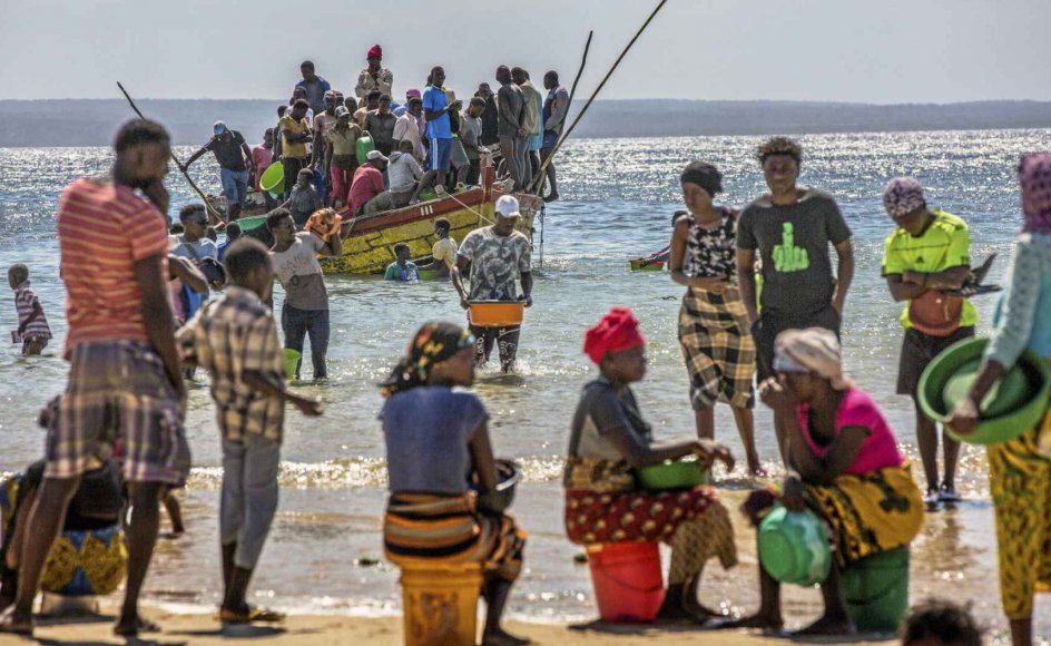 I den nordlige del af Mozambique har Islamisk Stat skabt så meget frygt, at mange af områdets indbyggere er flygtet til andre dele af landet, som det ses på billedet. – Foto: Ricardo Franco/EPA/Ritzau Scanpix.