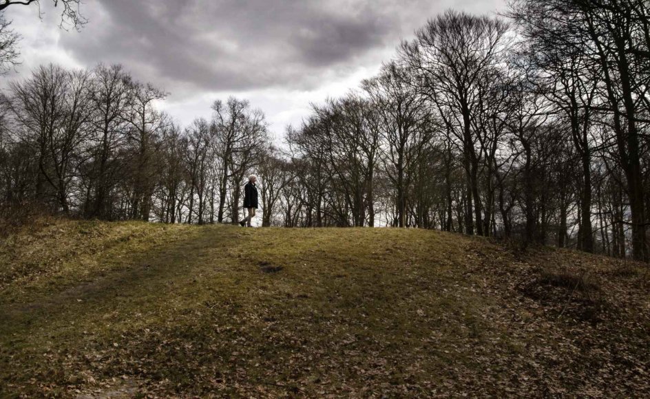 Der mødte mange op til hekseafbrændinger, og børnene fik endda fri for skole, siger Torben Bramming, der her ses på Galgebakken ved Ribe, hvor hekse blev henrettet for 400 år siden.