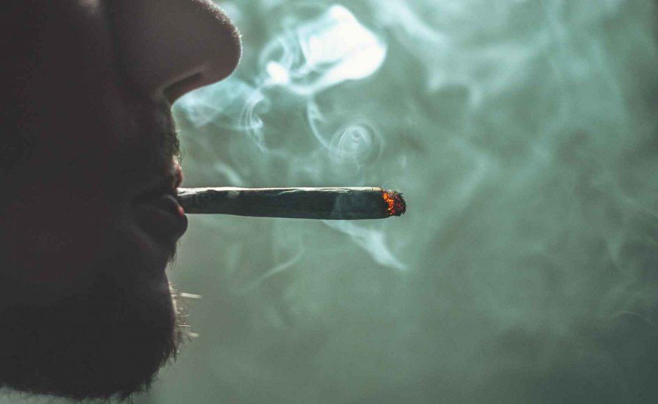Professor Mads Uffe Pedersen og overlæge Henrik Rindom mener, at debatten i Danmark om eksempelvis legalisering af cannabis er gået i hårdknude.