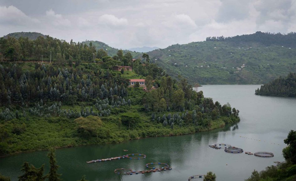 Rwanda er et billedskønt land, men under overfladen lurer flere væsentlige demokratiske problemer. Landet nævnes som et varmt bud på, hvor et dansk modtagecenter for asylbehandling kan ligge. (Arkivfoto)