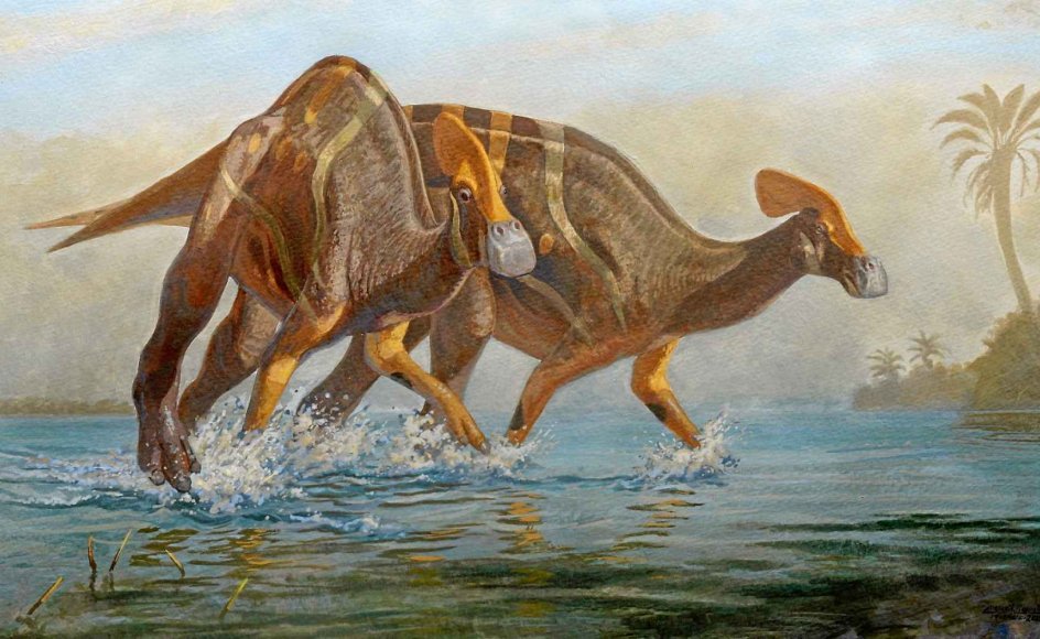 Sådan så den nyopdagede dinosaurus måske ud ifølge forskerne.